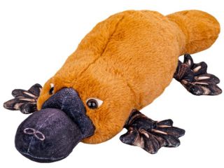 Obrázek z Ptakopysk plyš 50cm 
